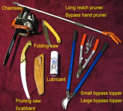 Pruning Tools M D Vaden
